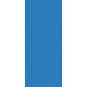   Card   4 x 9 1/4   So Silk Fair Blue (50 Pack): Toys & Games
