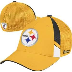  Pittsburgh Steelers 2009 NFL Draft Hat: Sports & Outdoors
