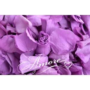  1 lb Wedding Freeze Dried Rose Petals Violet Wisteria 2000 