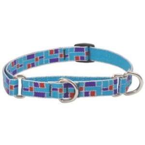  3/4 City Lights 10 14 Combo Collar: Pet Supplies