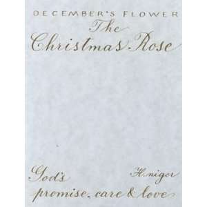  Decembers Flower, The Christmas Rose   Constance Lael 4x5 