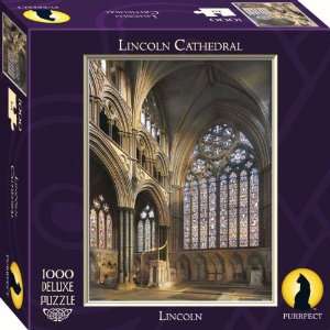  Purrfect Puzzles Lincoln Cathedral 1000 Piece Puzzle Toys 