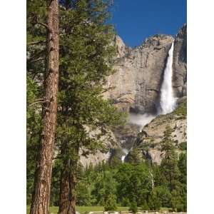  Upper Yosemite Falls. Yosemite National Park, CA Stretched 
