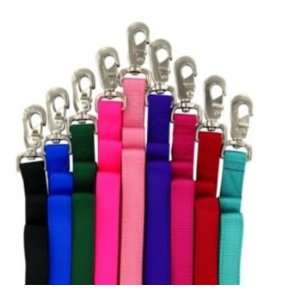 Double Layer Dog Lead 6 Foot Raspberry: Pet Supplies