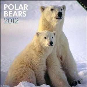  Polar Bears 2012 Wall Calendar 12 X 12 Office Products