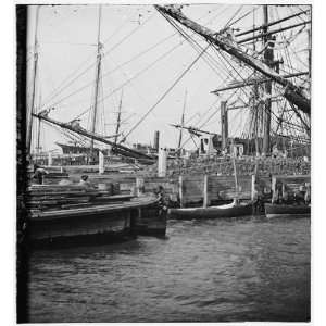   Charleston, South Carolina. View of the wharves near the Battery Home