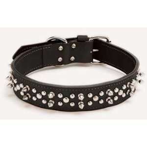   Spiked Leather Dog Collar   22 in. by 1.5 in. wide: Pet Supplies
