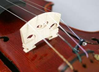 Old SpruceAntique Oil Varnished violin #0823 PRO  