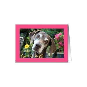  48th Birthday card, German Shorthaired Pointer Card: Toys 