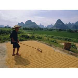 Farmer Turning Grain, Near Yangshuo, Guangxi Province, China Premium 