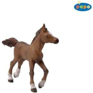  Papo 51076 Anglo Arab Foal: Toys & Games