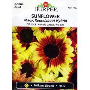  Magic Roundabout Sunflower   20 Seeds, 750 mg Patio, Lawn 