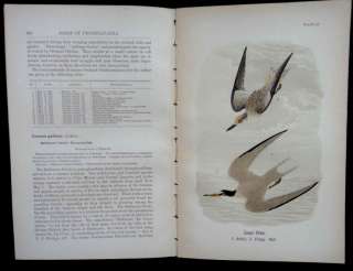 1890 antique BIRDS OF PENNSYLVANIA REPORT w/100 AUDUBON color plates 