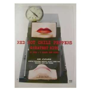  Red Hot Chili Peppers Poster RHCP The: Everything Else