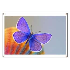 Banner Xerces Purple Butterfly 