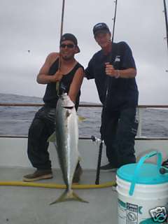 37lb Yellowtail on the Pacific Star