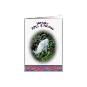  99th Birthday Card with Snowy Egret in Water Card: Toys 
