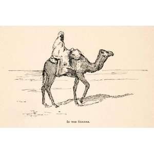  Wood Engraving Sahara Desert Camel Indigenous People Costume Animals 