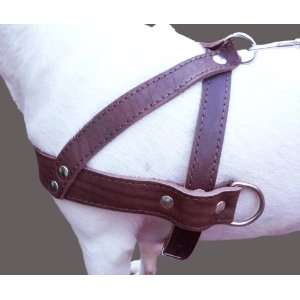  High Quality Genuine Brown Leather Dog Pulling Walking 