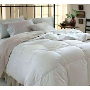   Grandia Over Sized Goose Down Comforter   Queen Size: Everything Else
