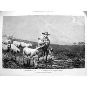    1873 Farmer Shepherd Sheep Farm Dog Bottomley Print