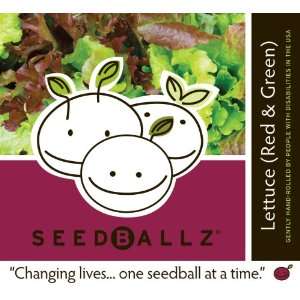 Seedballz Lettuce(Red & Green)   Grow a beautiful Lettuce 
