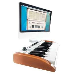   Analog Experience THE PLAYER MIDI Controller Musical Instruments