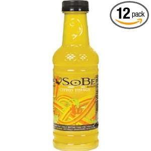 SoBe Citrus Energy, 20 Ounce Bottles: Grocery & Gourmet Food
