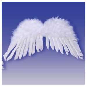  Girl Fairy Princess Angel Feather Wings Bday Party L12 