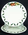 WSP Cades Creek 2 Dinner Plates Apple Green White Red A