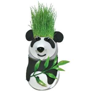 Grow A Head Wildlife Panda Toys & Games