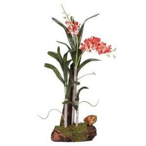  Orange Wild Orchid w/Root Base Silk Flower Arrangement 