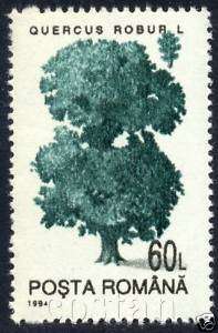   Oak,Quercus robur,Tree,Forest,Romania,Rumänien,M.4985 X,MNH variety