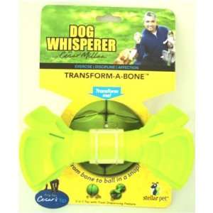  R2p Pet 069395 Transform a Bone Dog Toy Assorted: Pet 