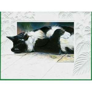  Black & White Cat Notecards: Health & Personal Care