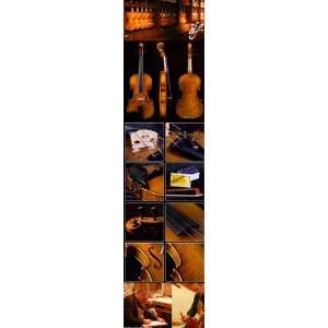  Acoustic Full Size Fiddle Violin Bow Case Accessories 