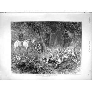   1897 Woodland Scene Horses Hunting Fox Hounds Huntsmen: Home & Kitchen
