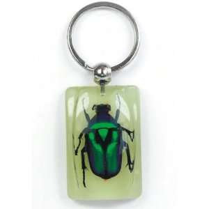 Real Insect Key Chain Green Rose Beetle Glow