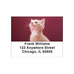  Pretty In Pink Address Labels