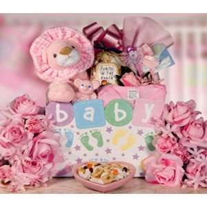 Baby Lion Gift  Grocery & Gourmet Food