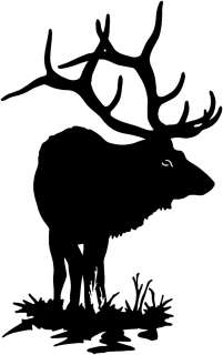 Large Elk Bull Decal ST #1 Wildlife Hunting 6 Stickers  