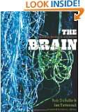 The Brain Big Bangs, Behaviors, and Beliefs