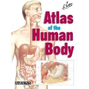  Netters Atlas of the Human Body [NETTERS ATLAS OF THE 