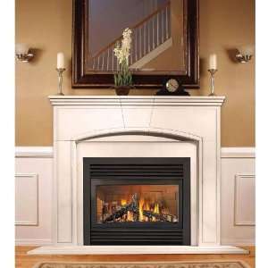    Napoleon Gd33nr Direct Vent Natural Gas Fireplace: Home & Kitchen