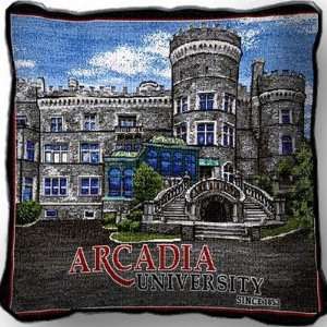  Arcadia University Castle Pillow