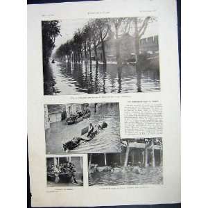  Avignon Rhone Flood France French Print 1935