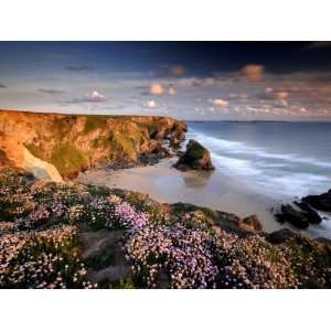  Bedruthan Steps on Cornish Coast, with Flowering Thrift 