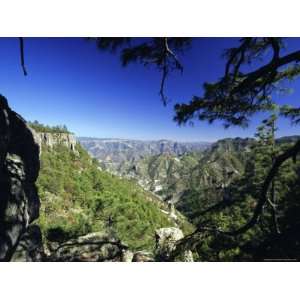 Canyon, Sierra Madre Occidental, from the Rim Near Divisadero, Mexico 