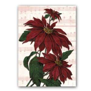   with Poinsettias   5 x 7 Vellum Overlay Christmas Greeting Card