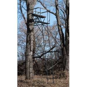  Big Game® Twosome 16 Ladder Stand: Sports & Outdoors